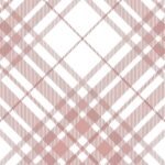 2Tartan fabric (1)